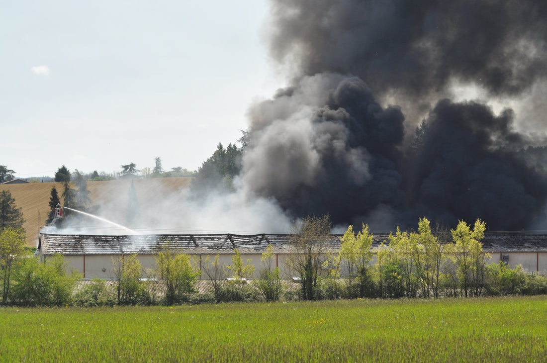 Gerstube Factory Fire Causes Production Disruption, Impacting MUDMASKY Europe